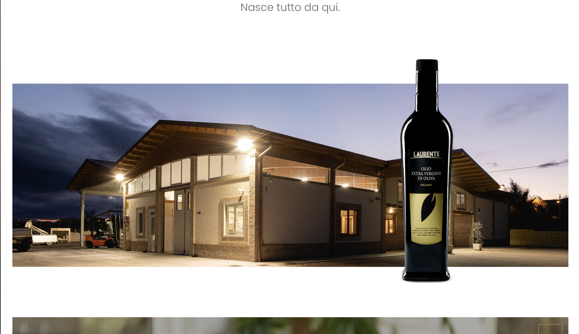 Tour dell’olio
