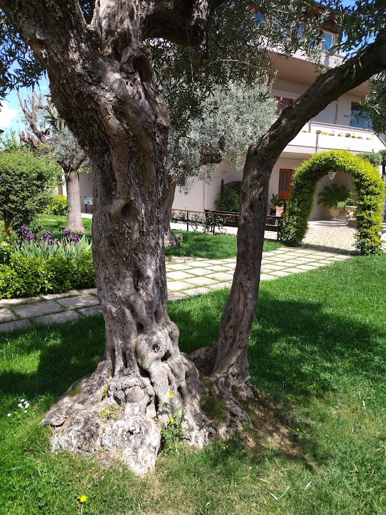 Ristoranti tipici